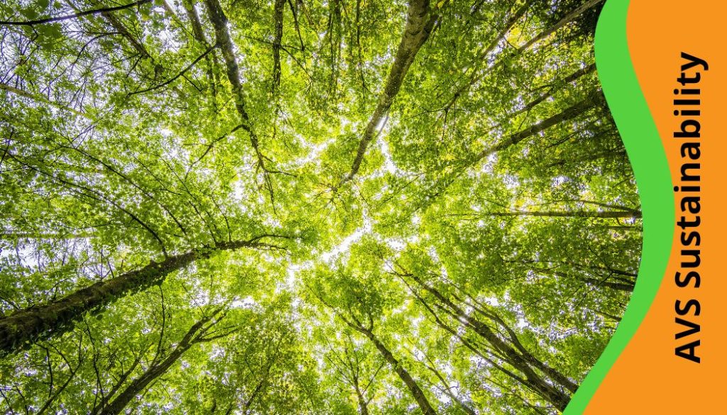 The Role of ESG in Protecting Forests for Future Generations.